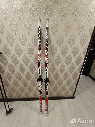 Лыжи с палками