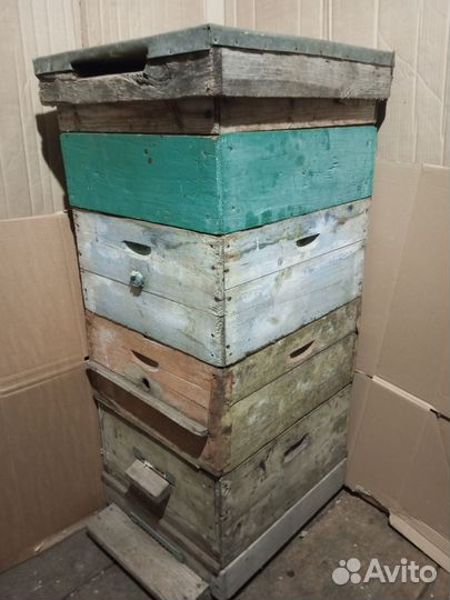 Пчелиные улья