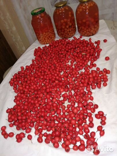 Боярышник, огурцы, помидоры, компоты