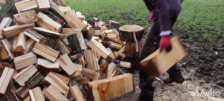 Дрова в область