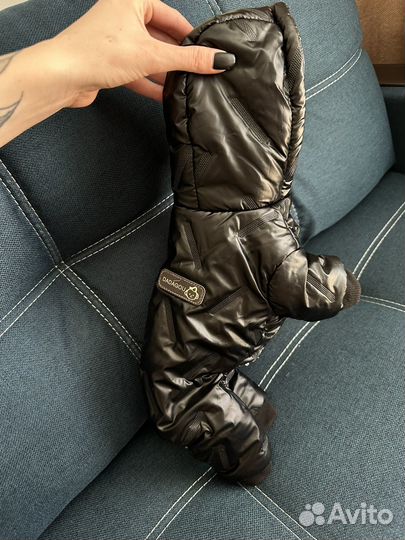 Комбинезон для маленькой собаки