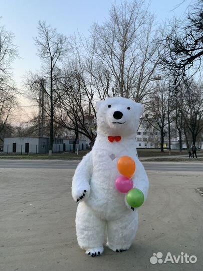 Аренда карнавальных костюмов денозавры мишки