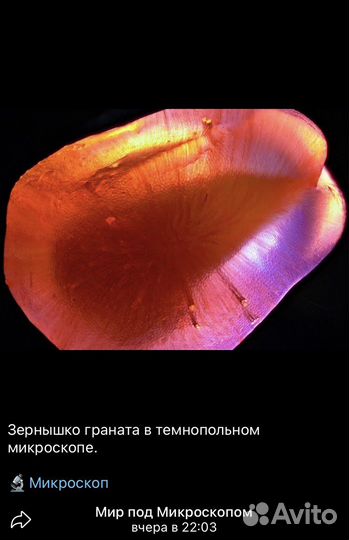 Микроскоп Carl Zeiss