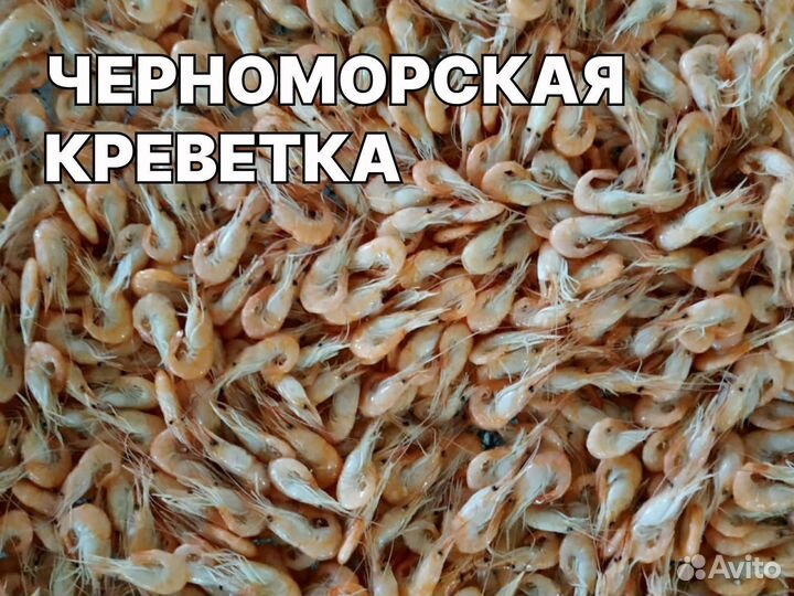 Креветка усик оптом