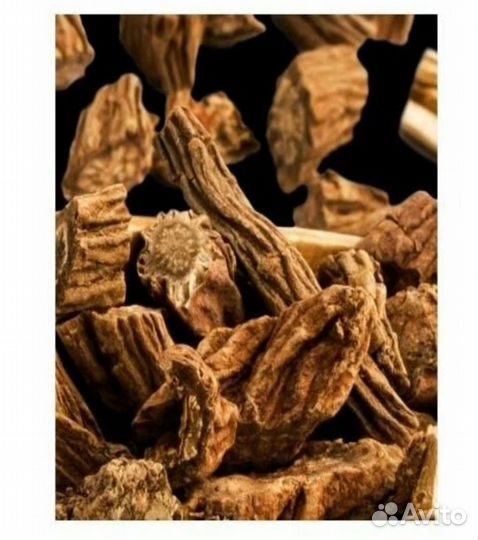 Yodeyma Парфюмерная женская вода tendenze 100 мл