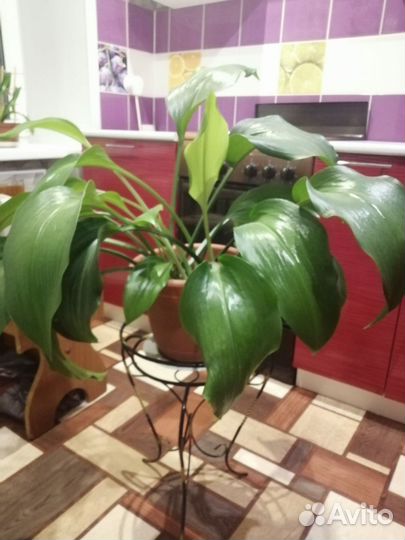 Подставка для цветов напольная