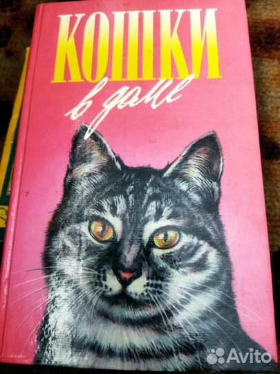Кошки в доме