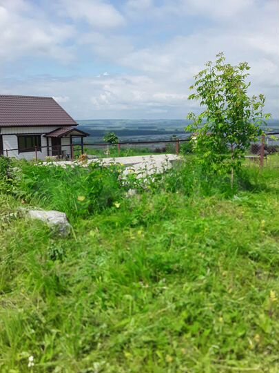 Участок 9,6 сот. (СНТ, ДНП)