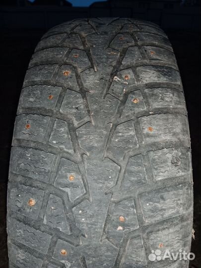 Maxxis ArcticTrekker NP3 205/60 R16 96T