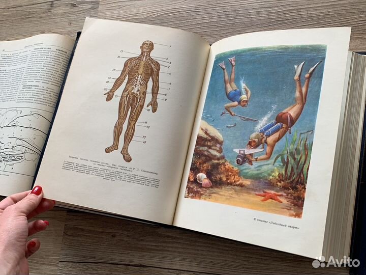 Энциклопедический словарь по физической культуре