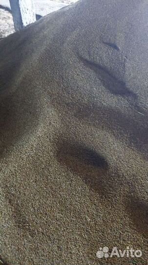 Горох, ячмень