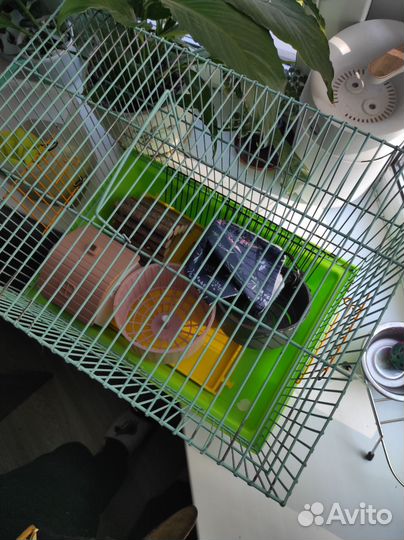 Клетка для грызунов бу