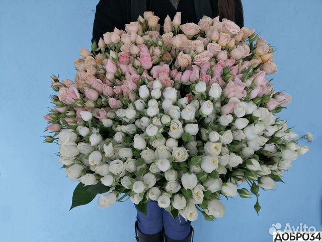 Кустовые Розы с Бесплатной Доставкой