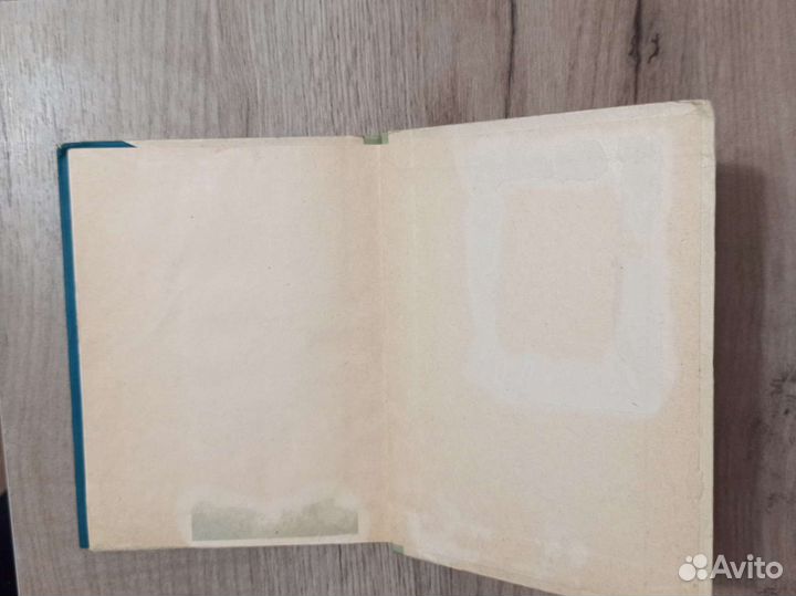 Татьяна Тэсс. Весну оставить нельзя. 1961 г