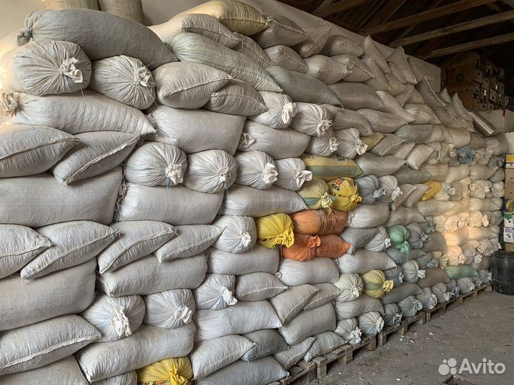 Топливные пеллеты из подсолнечника