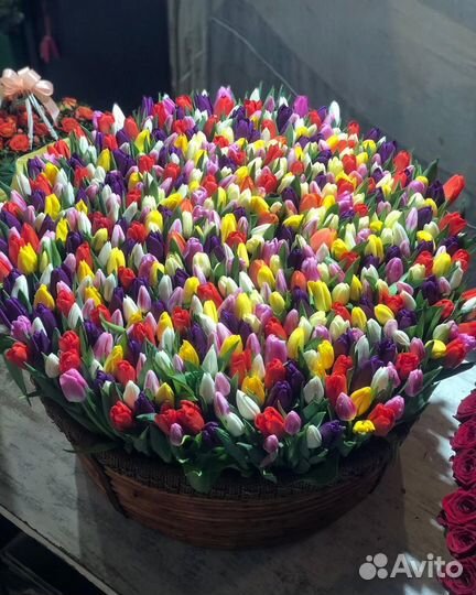 Тюльпаны 51 шт