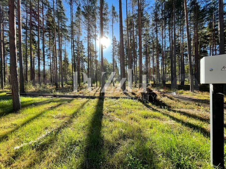 Участок 25 сот. (ИЖС)