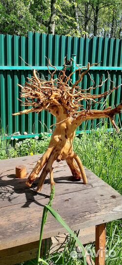 Коряга в аквариум