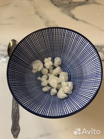 Кефирный тибетский молочный гриб