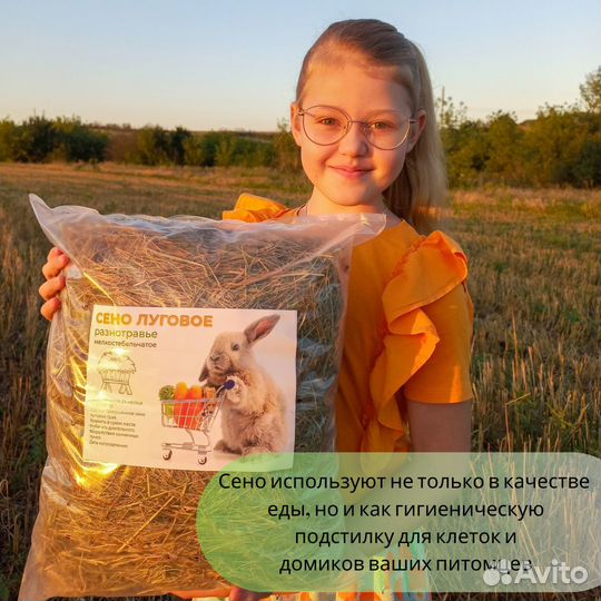 Сено луговое отборное для грызунов, кроликов и тд