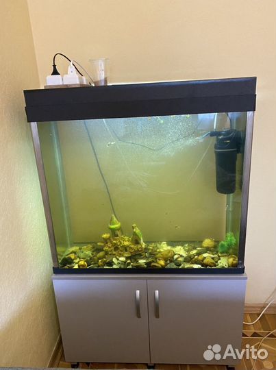 Аквариум с тумбой 200 литров