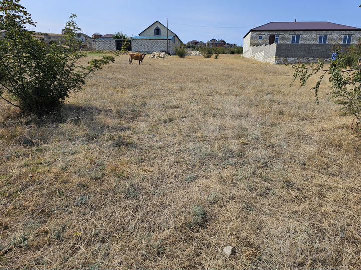 Участок 60 га (ИЖС)