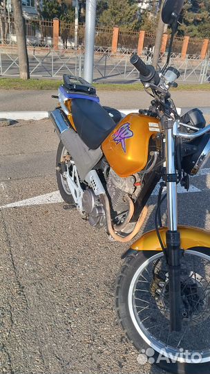 Honda SLR 650