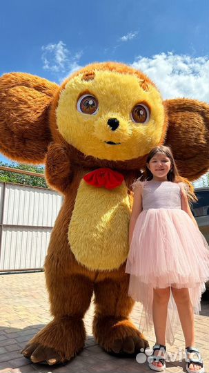 Аниматор на праздник/Живая открытка/Ростовая кукла