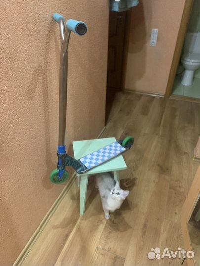 Дека для трюкового самоката apex