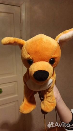 Поёт, бегает, танцует