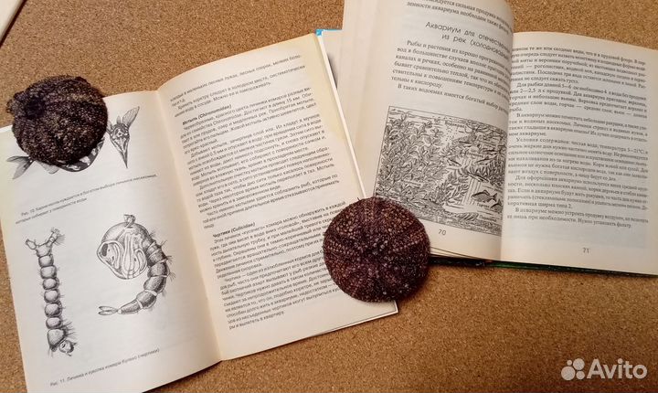 Книги о домашних животных питомцах рыбы кошки