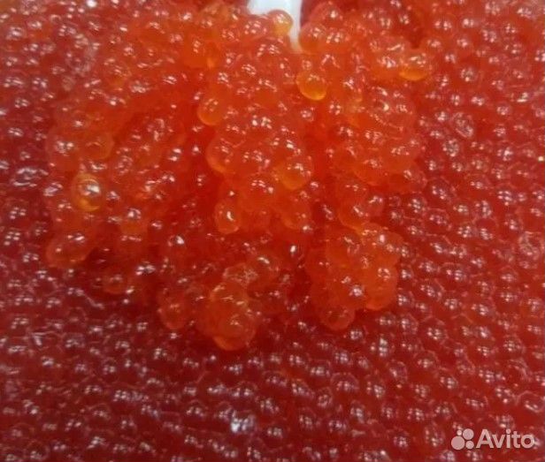 Красная икра горбуши
