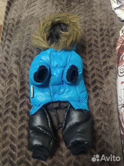 Комбинезон на маленькую собаку