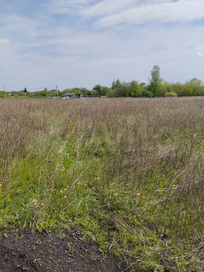 Участок 10 сот. (ИЖС)