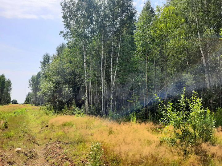 Участок 14 сот. (ИЖС)