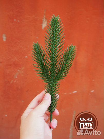 Литая хвоя, еловые ветки, искусственная литая хвоя