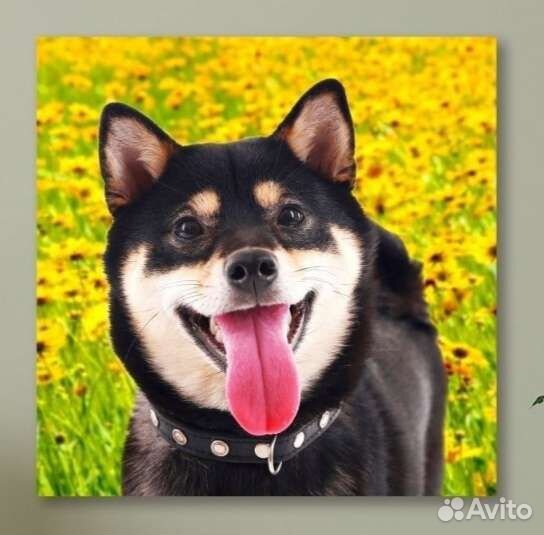 Алмазная мозаика на подрамнике 40*40 Собака