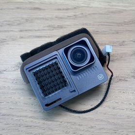 GoPro 11 Naked