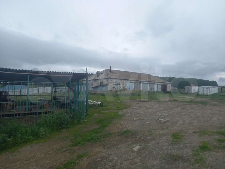 Производство, 800 м²