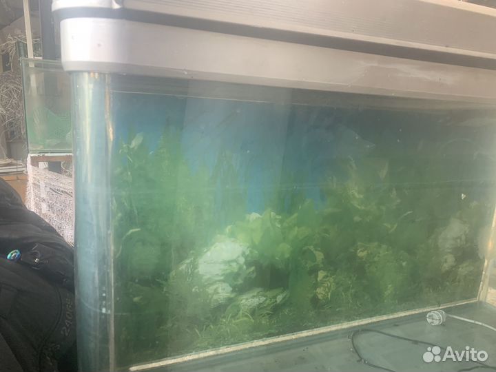 Аквариум с тумбой 320л