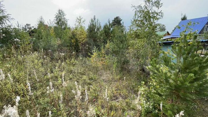 Участок 12,9 сот. (СНТ, ДНП)