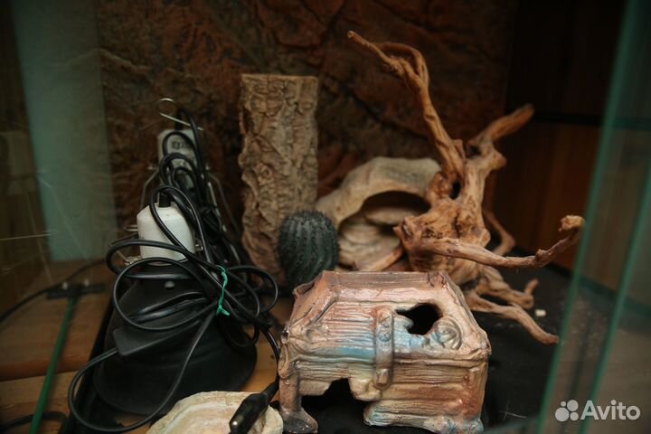 Террариум вертикальный для рептилий