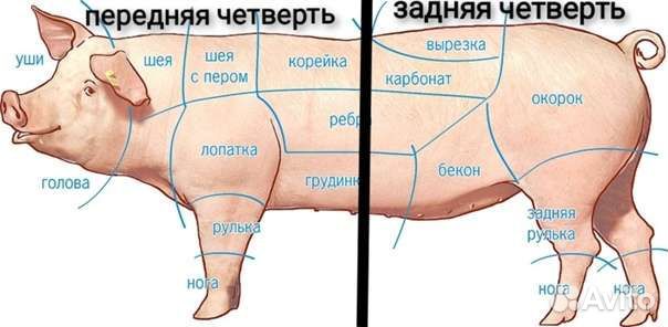 Продам мясо