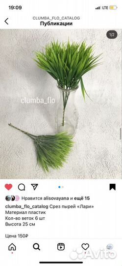 Пырей, осока, лук