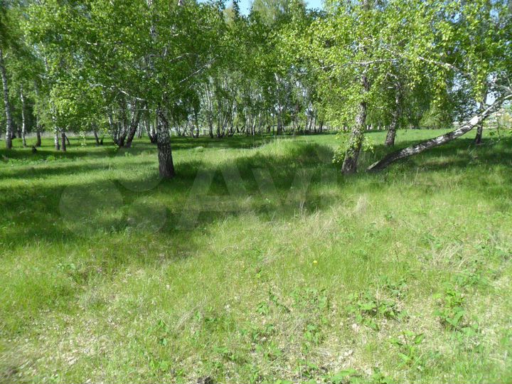 Участок 10 сот. (СНТ, ДНП)