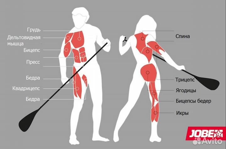 Сап аренда в Новой Москве (SUP прокат )