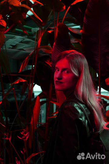 Иллюстратор / Графический дизайнер