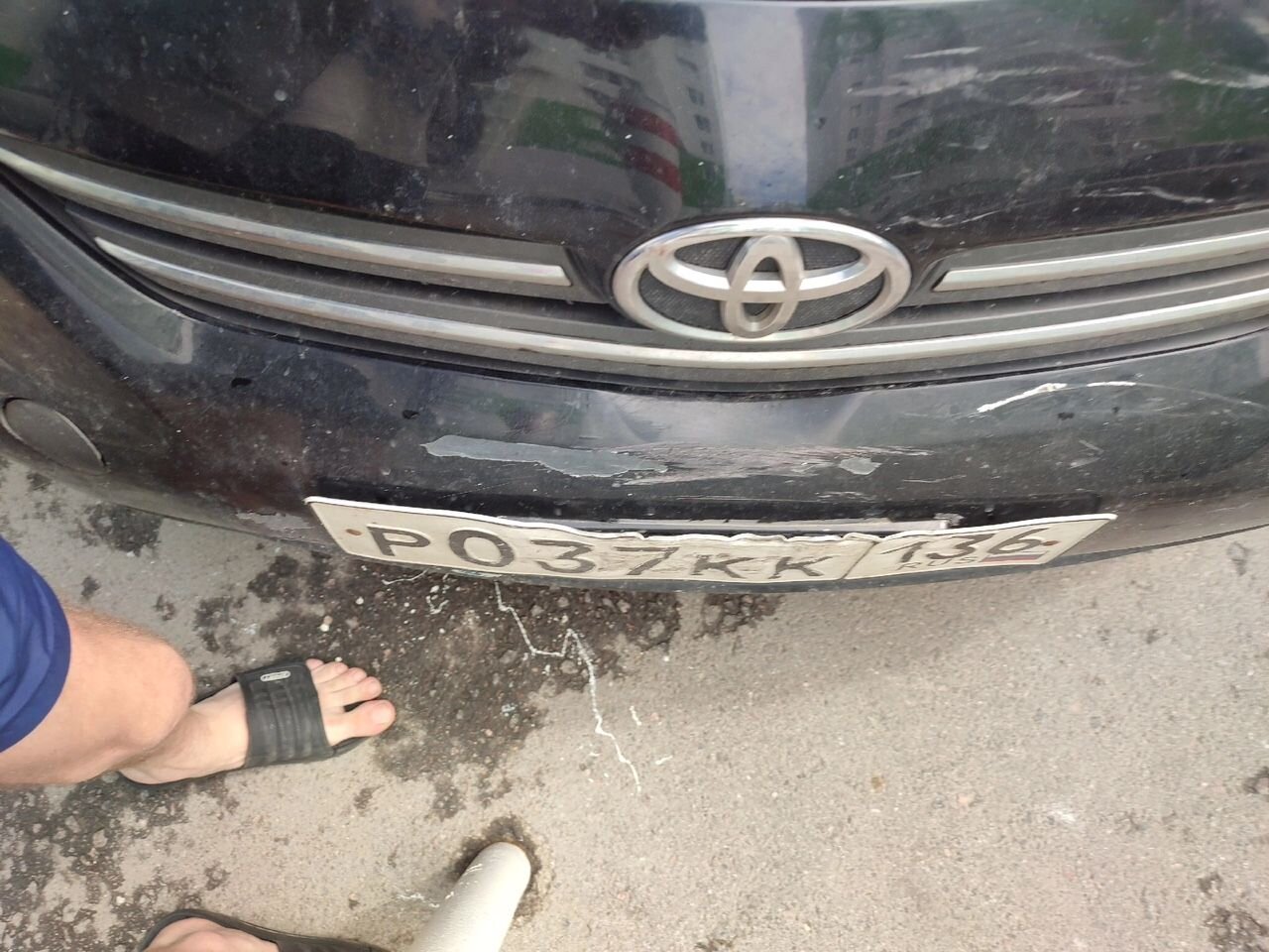 Toyota Corolla: фото владельца