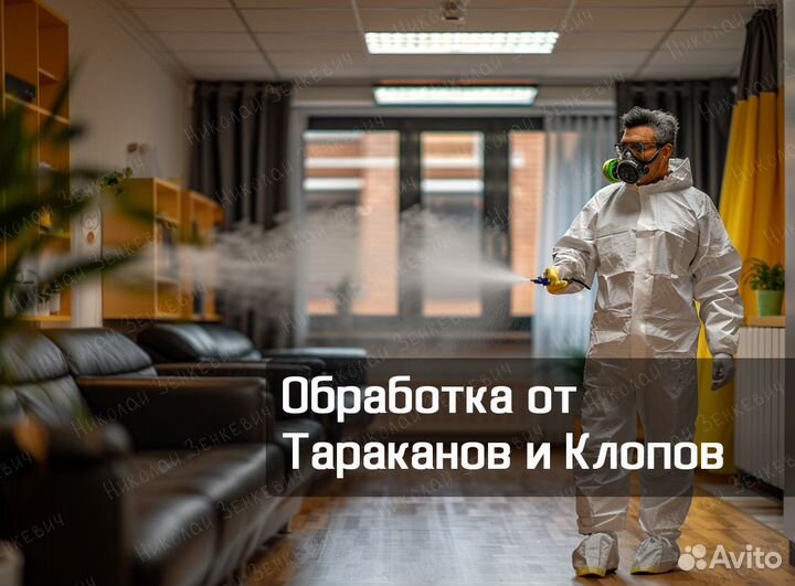 Уничтожение Клопы Тараканы Крыс Запах Дезинфекция