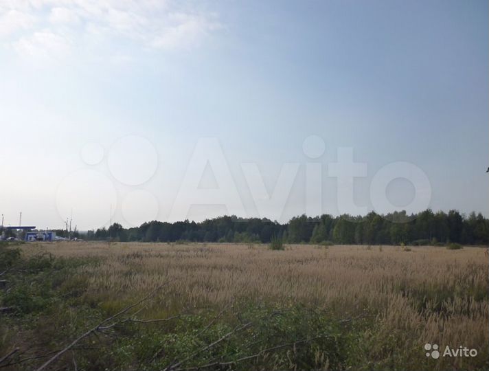 Участок 9,5 га (ИЖС)